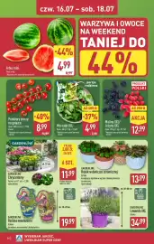 ALDI gazetka tydzień 29 Strona 36