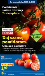 Lidl gazetka Strona 42