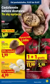 Lidl gazetka Strona 43