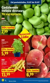 Lidl gazetka Strona 44