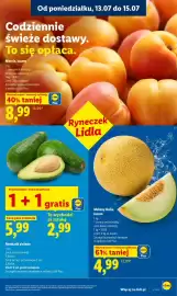 Lidl gazetka Strona 45