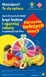 Lidl gazetka Strona 47