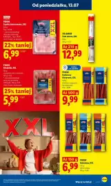 Lidl gazetka Strona 49