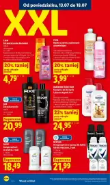 Lidl gazetka Strona 62