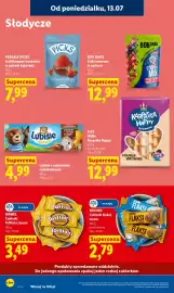 Lidl gazetka Strona 84