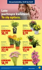 Lidl gazetka Strona 87
