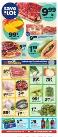 Save a Lot weekly ad week 28 Page 1