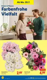 Lidl Prospekt Seite 28