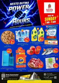Nesto catalogue Page 1