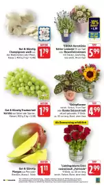 Edeka Prospekt Seite 10