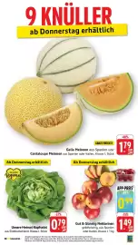 Edeka Prospekt Seite 44