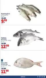 Makro folder | Food Pagina 21