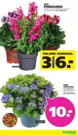 Ranzijn folder Pagina 2