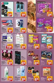 REWE Center Prospekt woche 29 Seite 25