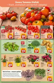 REWE Center Prospekt woche 29 Seite 7