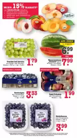 Scheck-in-Center Prospekt woche 29 Seite 24