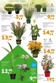Globus Baumarkt Prospekt woche 29 Seite 2