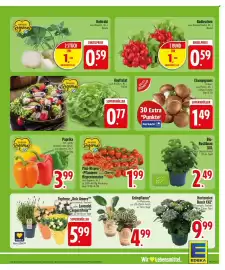 Edeka Niemerszein Prospekt woche 29 Seite 5