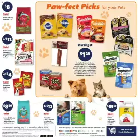 Family Dollar weekly ad week 29 Page 13