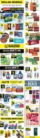 Dollar General weekly ad week 29 Page 1