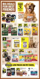 Dollar General weekly ad week 29 Page 13