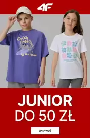 4F gazetka tydzień 29 Strona 1