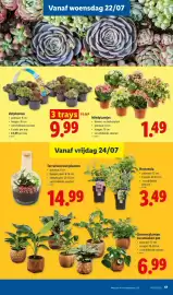 Lidl folder week 30 Pagina 17