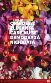 Catalog Kaufland săptămâna 29 Pagină 16