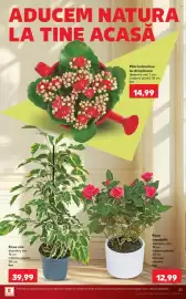 Catalog Kaufland săptămâna 29 Pagină 21