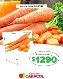 Catálogo Supermercados Caracol semana 29 Página 7