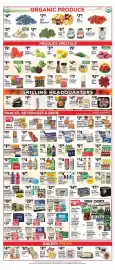 Pioneer Supermarkets weekly ad week 29 Page 6