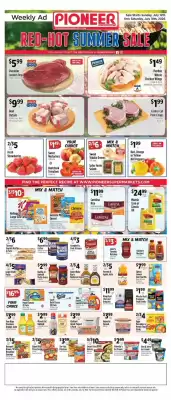 Pioneer (valid until 18-07)