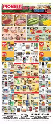 Pioneer (valid until 18-07)