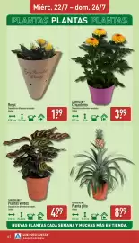 Folleto ALDI semana 30 Página 14