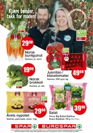 Spar kundeavis Side 3