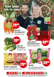 Eurospar kundeavis uke 29 Side 3