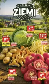 Delikatesy Centrum gazetka tydzień 29 Strona 13