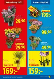 Lidl reklamblad vecka 30 Sida 22