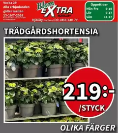 Extra Mjällby Stormarknad reklamblad vecka 29 Sida 10
