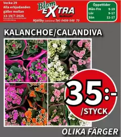 Extra Mjällby Stormarknad reklamblad vecka 29 Sida 9