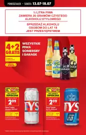 Biedronka gazetka tydzień 29 Strona 17
