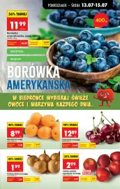 Biedronka gazetka tydzień 29 Strona 25