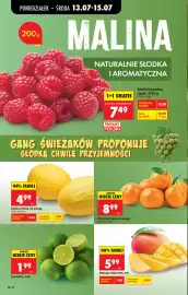 Biedronka gazetka tydzień 29 Strona 26