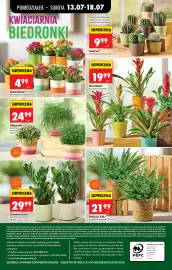 Biedronka gazetka tydzień 29 Strona 64