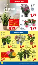 Volantino Lidl settimana 29 Pagina 40