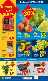 Volantino Lidl settimana 29 Pagina 57