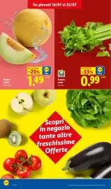 Volantino Lidl settimana 29 Pagina 6