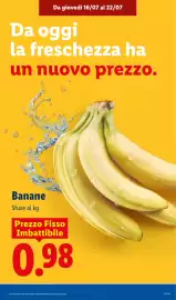 Volantino Lidl settimana 29 Pagina 7