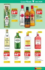 Biedronka gazetka | Alkohole Strona 33