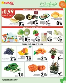 Volantino Conad City Pagina 3